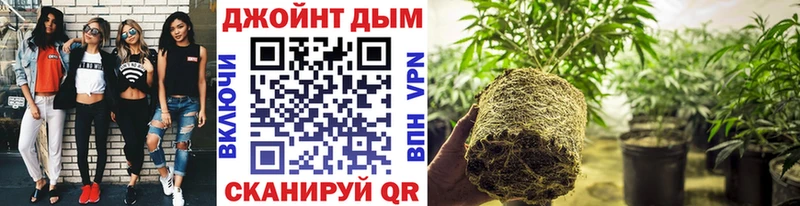 Каннабис Amnesia  Красноармейск 